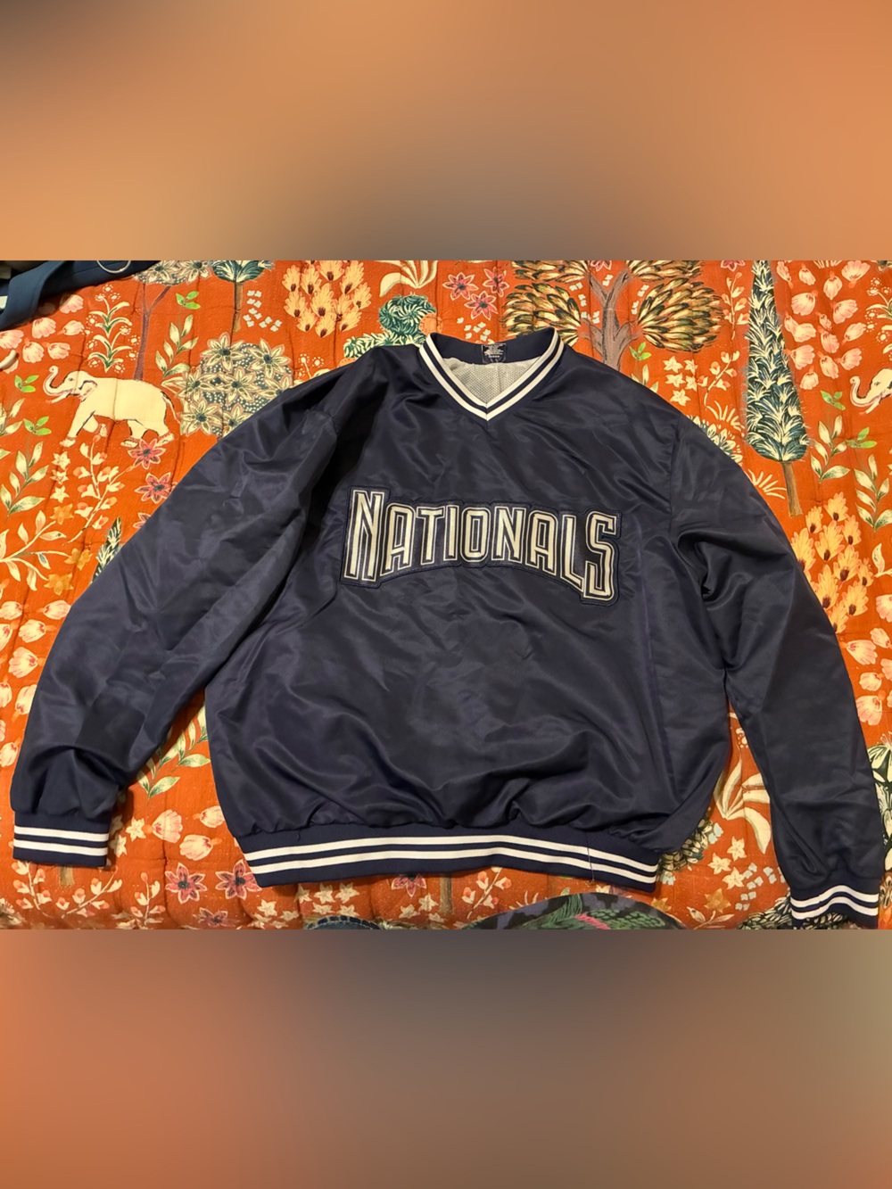 Nationals Baseball Men's Navy V-Neck Batting Sweater